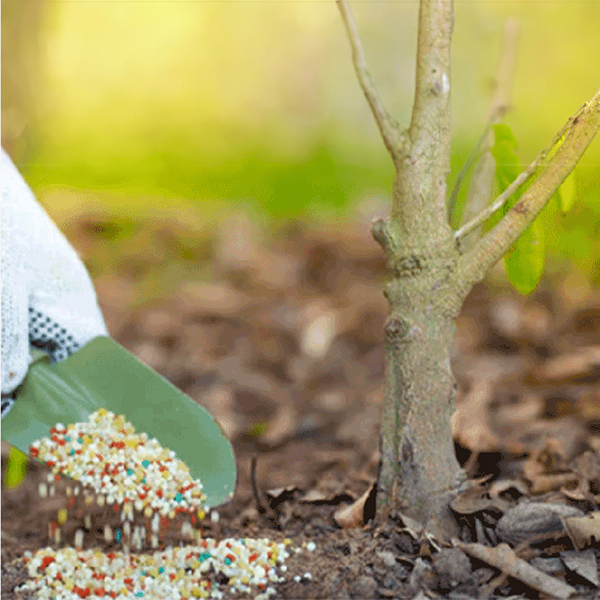 چالکود 1 Untitled 52