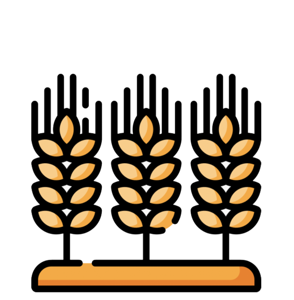 Screen Sho۷t 2024 10 01 at 12.06.14 PM
