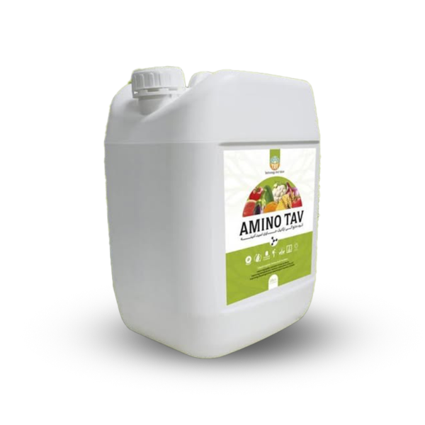 خانه 7 amino tav