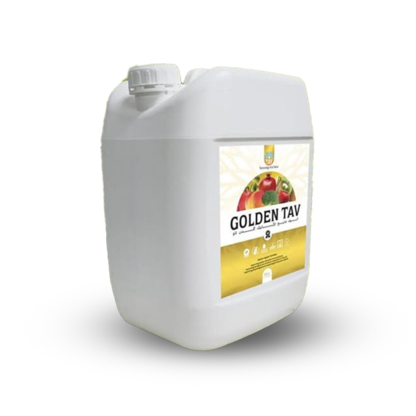 خانه 5 golden tav